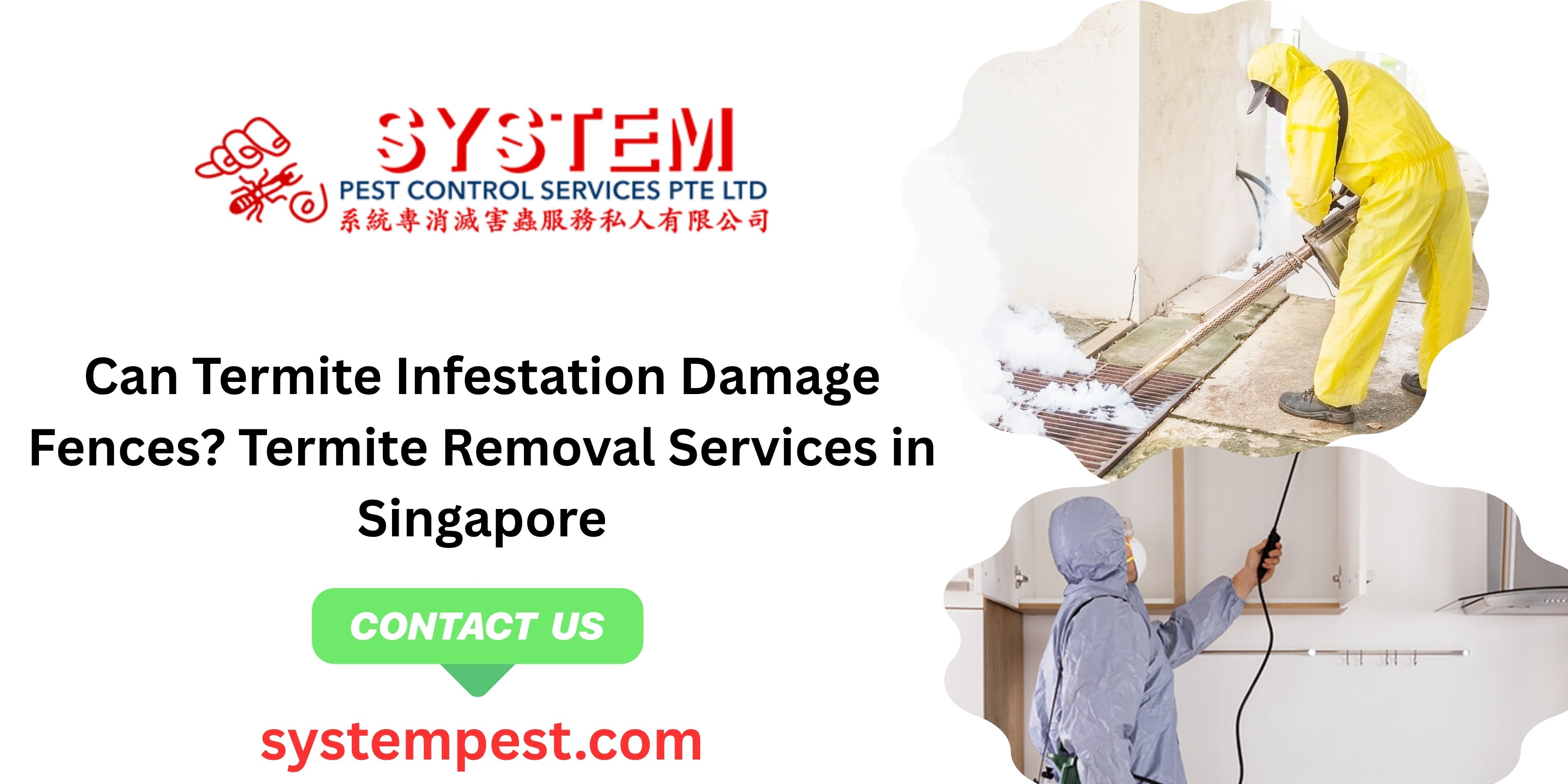 Can Termite Infestation Damage Fences? Termite Removal Services in Singapore Can Termite Infestation Damage Fences? Termite Removal Services in Singapore